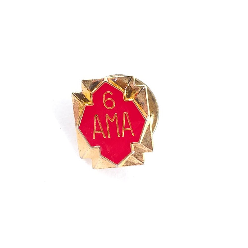 Vintage AMA 6 Year Member Pin American Motorcycle Association